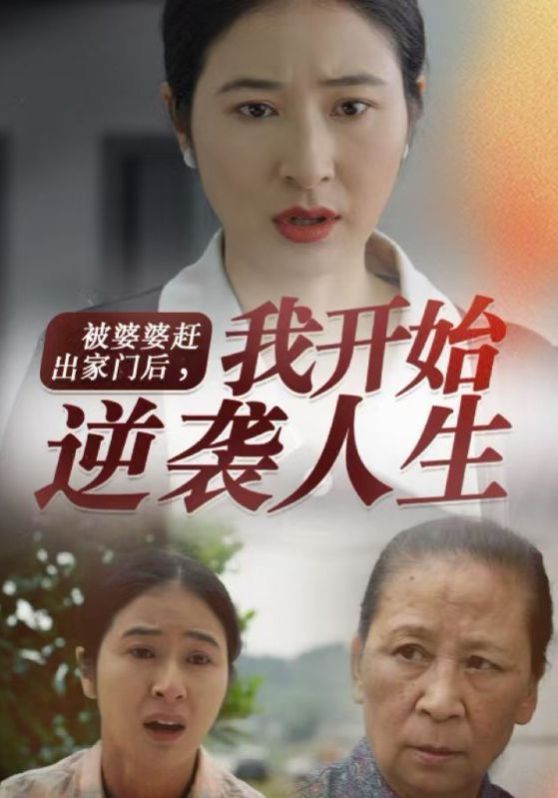 《被婆婆赶出家门后我开始逆袭人生》海报
