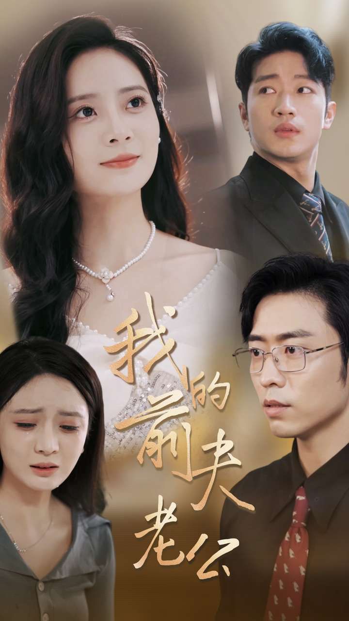 《我的前夫老公》海报