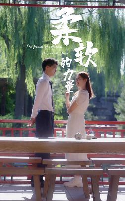 《柔软的力量》海报