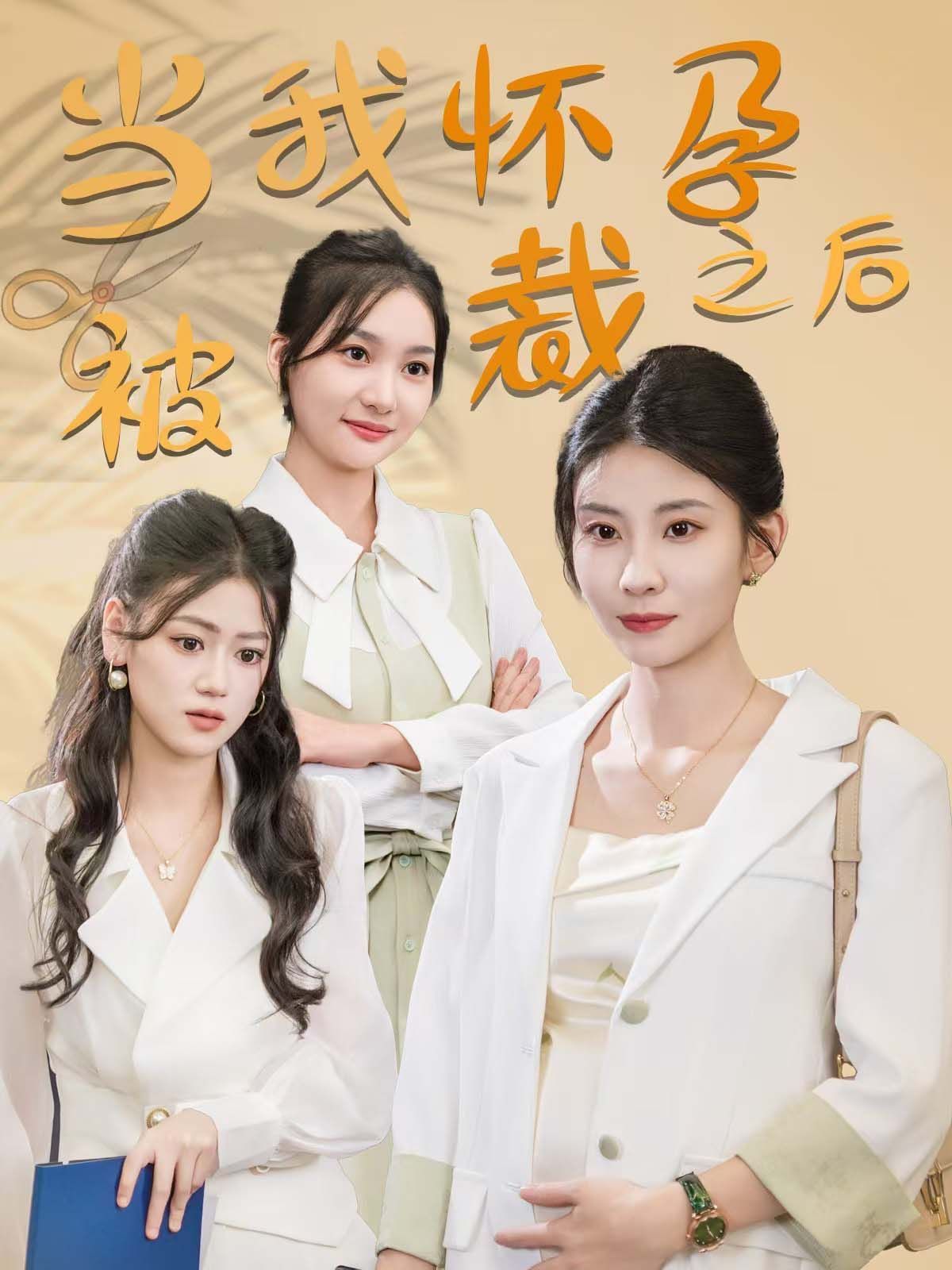 《当我怀孕被裁之后》海报