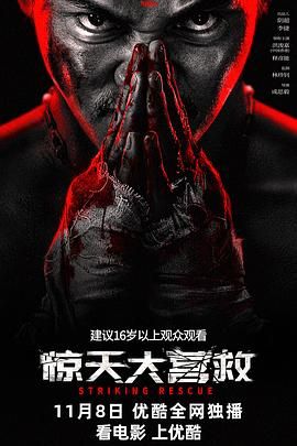 《惊天大营救》海报