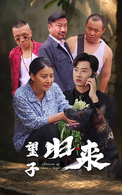 《望子归来》海报