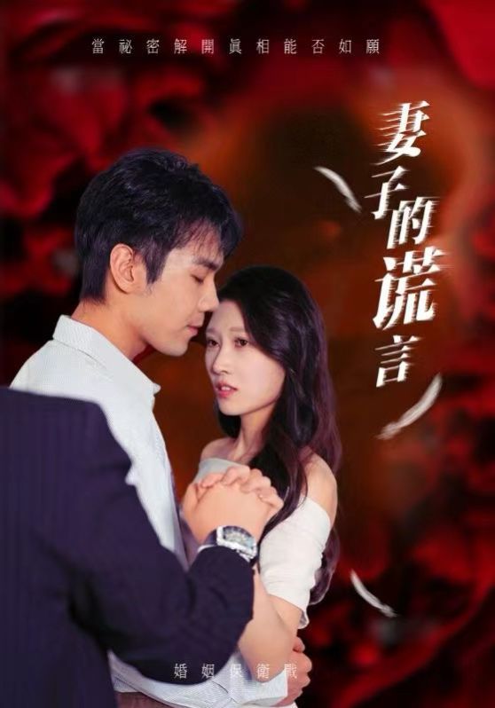 《妻子的谎言》海报