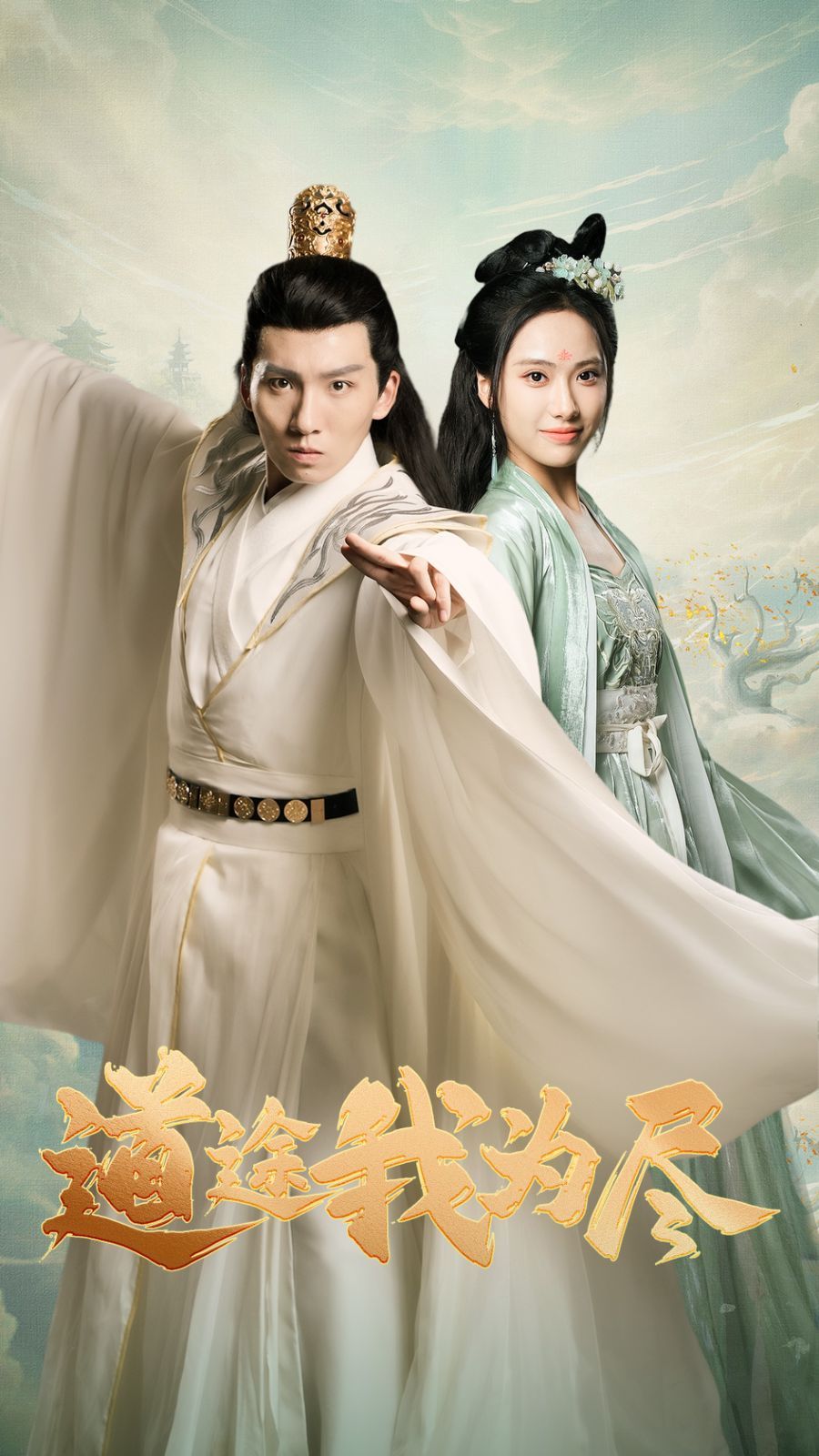 《道途我为尽》海报