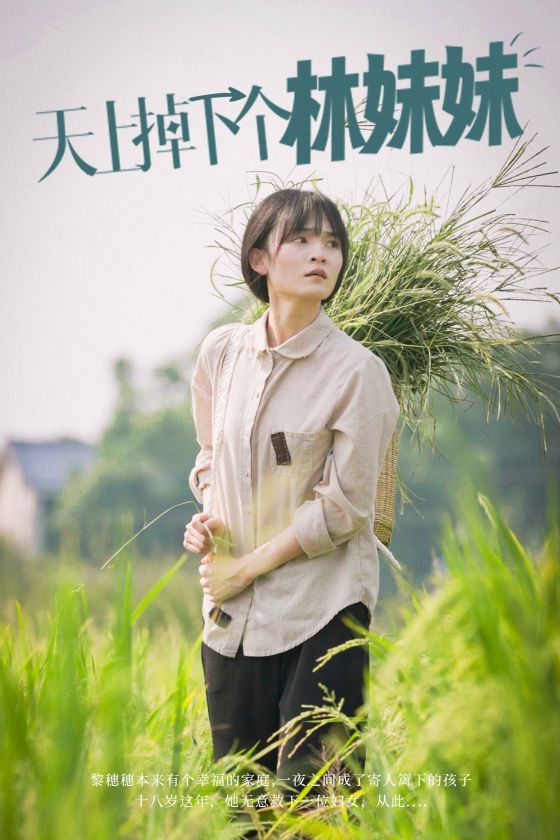 《天上掉下个林妹妹》海报