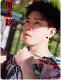 《铤而走险（步步高升）（幸福人生）》海报