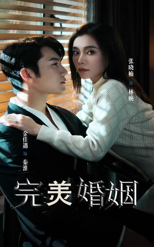 《完美婚姻》海报