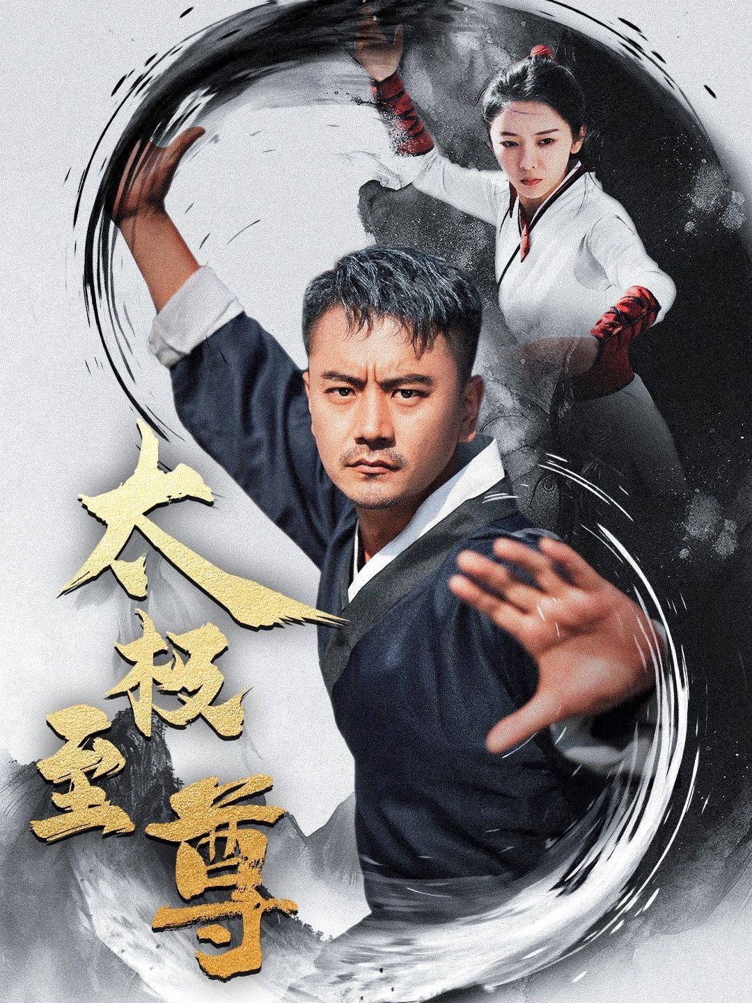 《太极至尊》海报