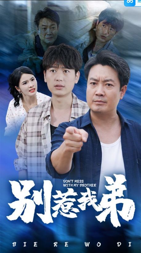 《别惹我弟》海报
