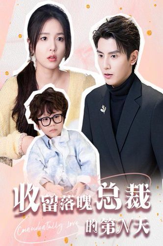 《收留落魄总裁的第N天》海报
