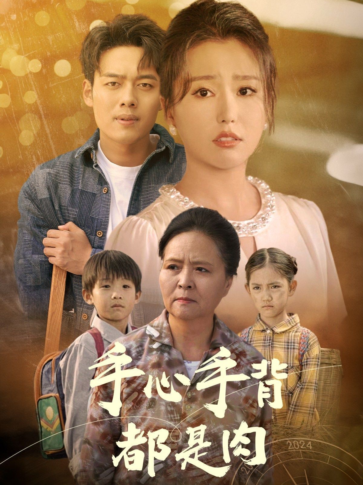《手心手背都是肉》海报