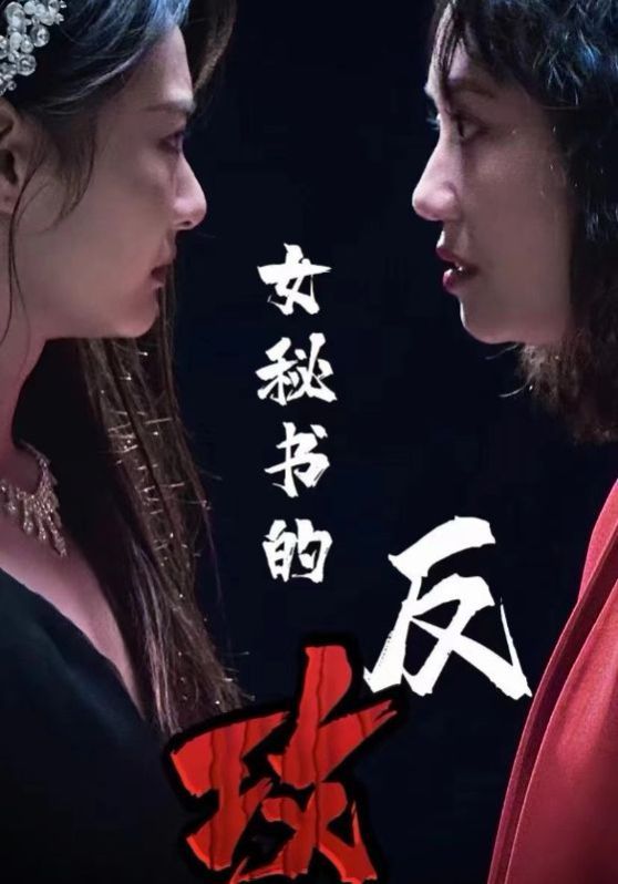 《女秘书的反攻》海报