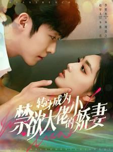 《转身成为禁欲大佬的小娇妻》海报