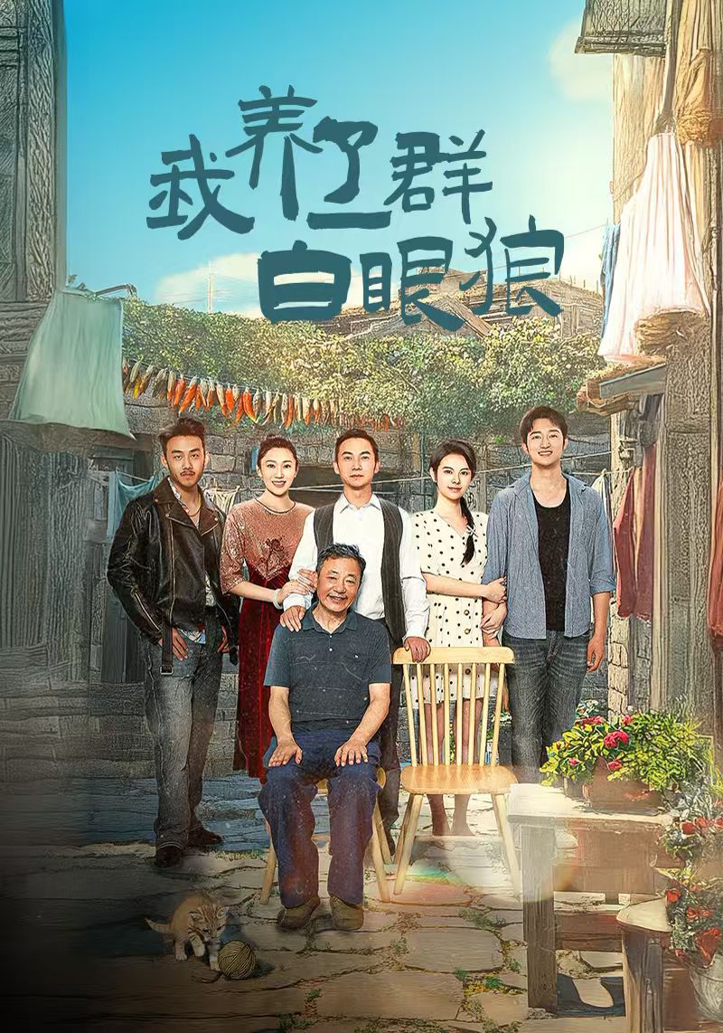 《我养了一群白眼狼（家家有本难念的经）》海报