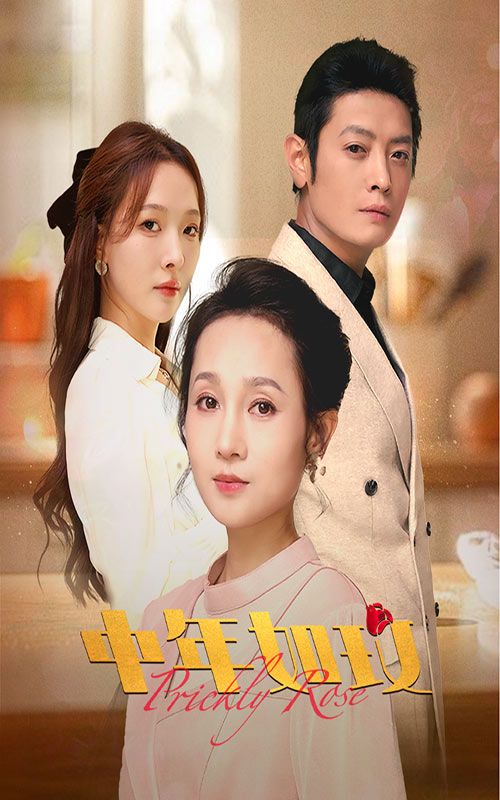 《中年如玫》海报