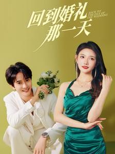 《回到婚礼那一天》海报
