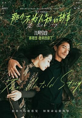 《那个不为人知的故事》海报
