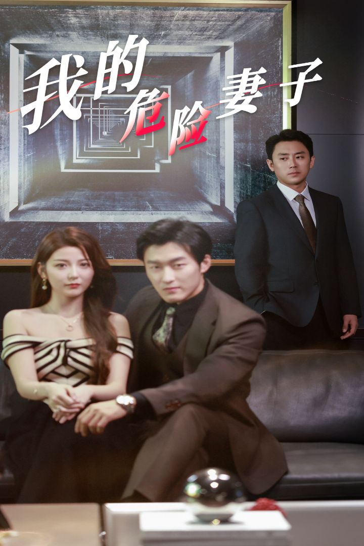 《我的危险妻子》海报