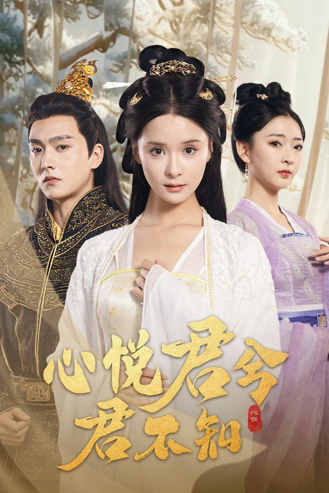 《心悦君兮君不知》海报