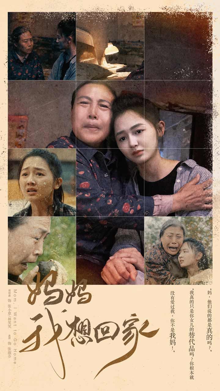 《我想回家》海报