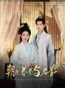 《朝朝暮暮与君散》海报