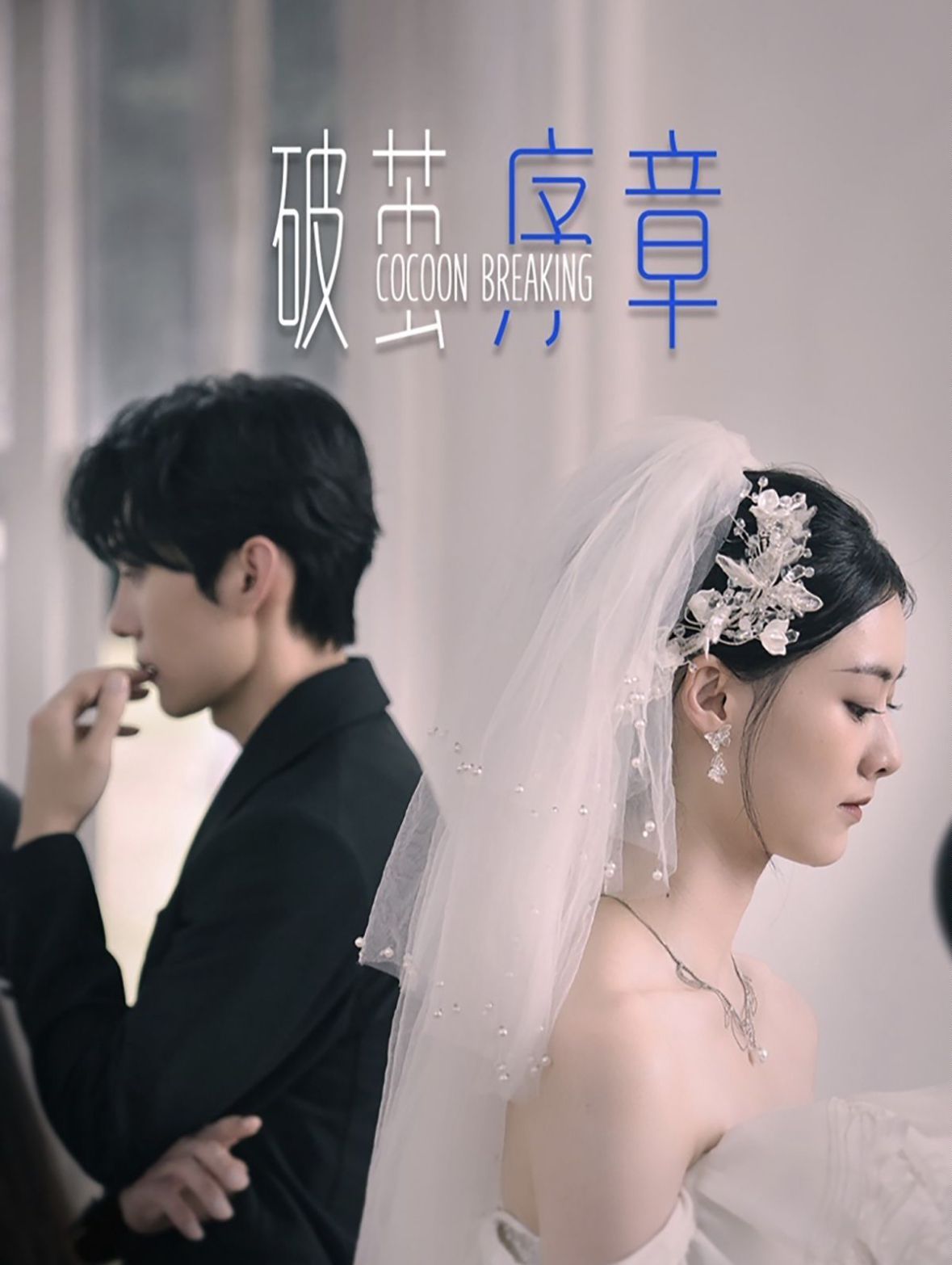 《破茧序章》海报