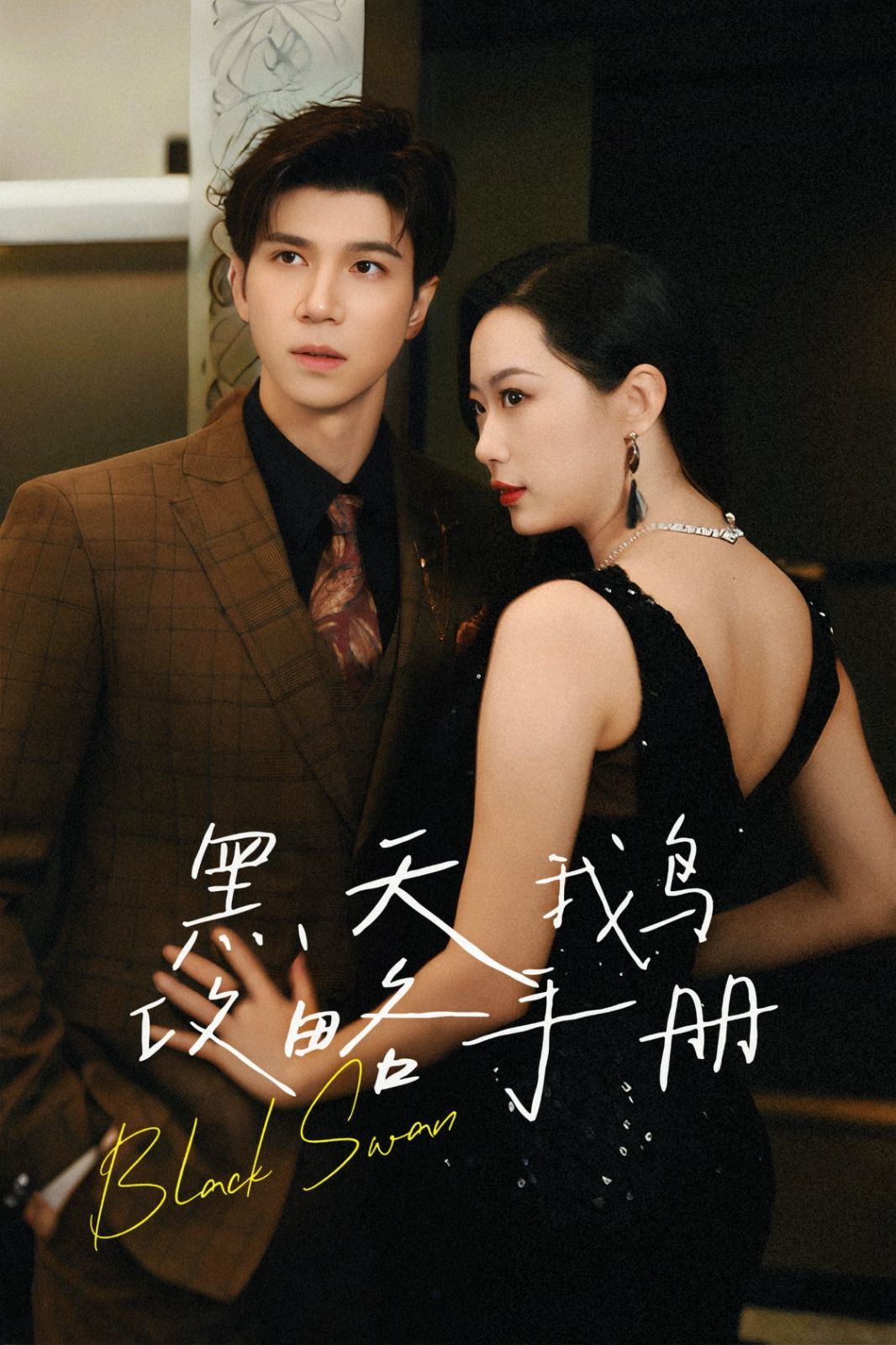 《黑天鹅攻略手册》海报