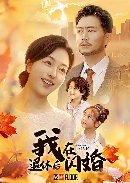 《我在退休后闪婚》海报