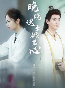 《晚晚迟来倾君心》海报