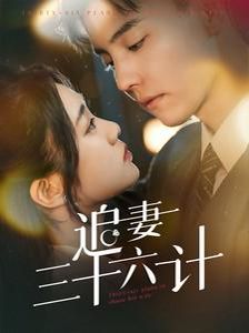 《追妻三十六计》海报