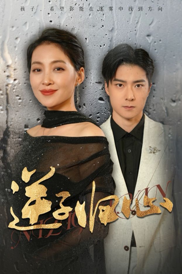 《逆子归心》海报