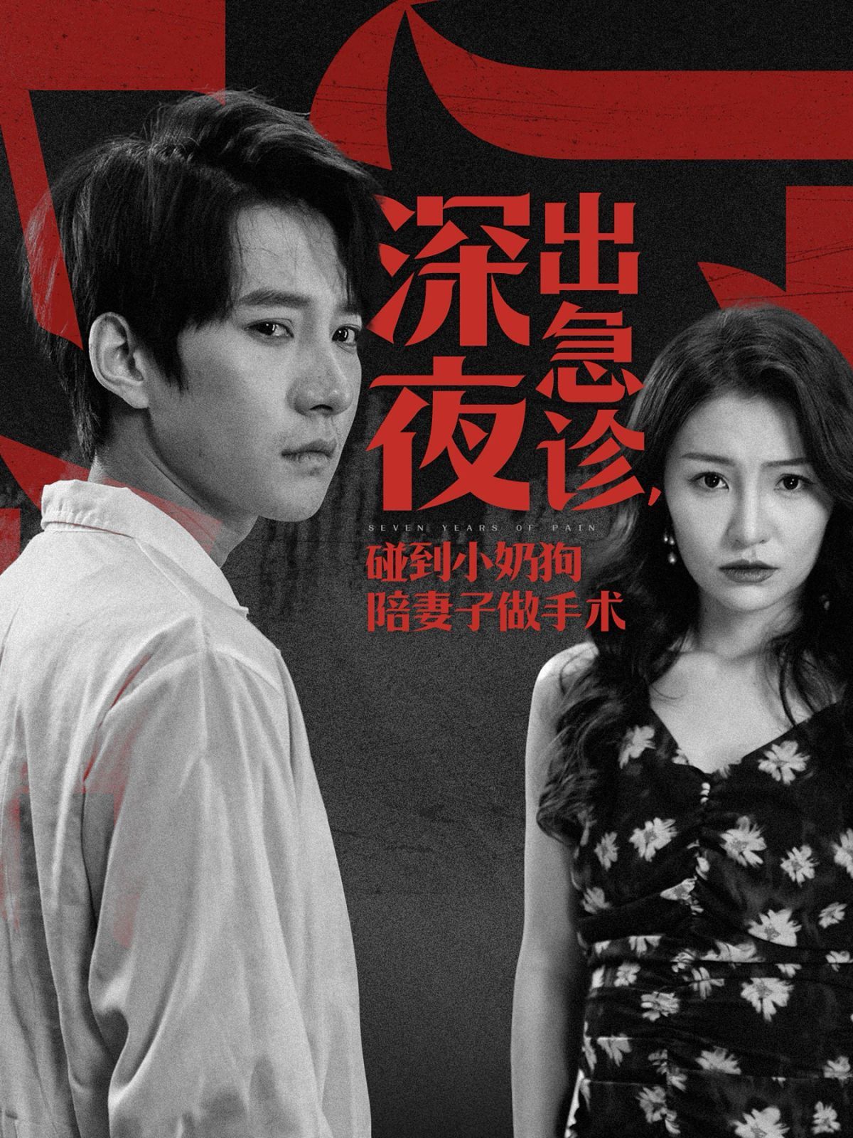 《深夜出急诊碰到小奶狗陪妻子做手术》海报