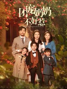 《团宠奶奶不好惹》海报