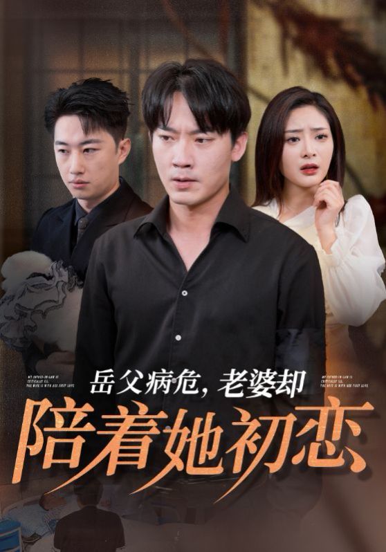 《岳父病危老婆却陪着她初恋》海报