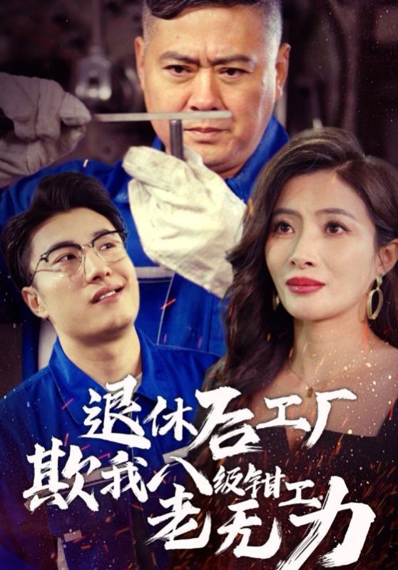 《退休后工厂欺我八级钳工老无力》海报