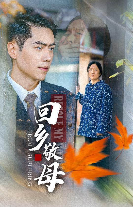《回乡敬母》海报