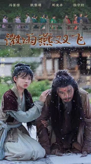 《微雨燕双飞》海报