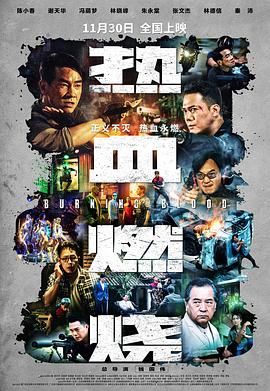 《热血燃烧粤语版》海报