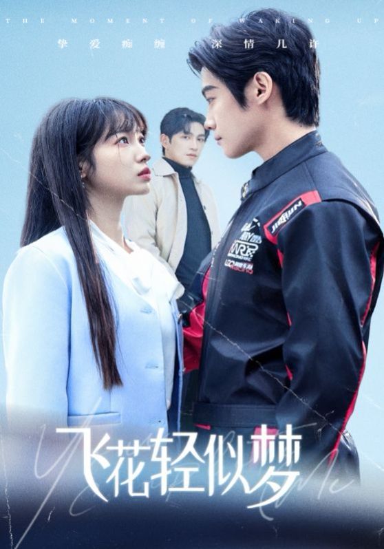 《飞花轻似梦》海报