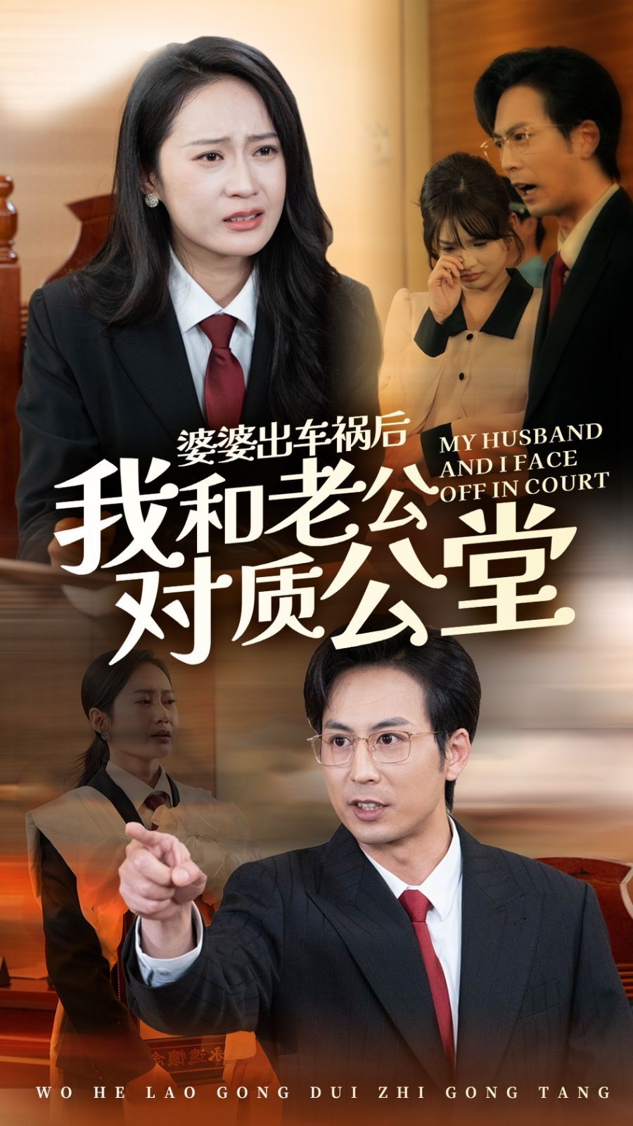 《婆婆出车祸后我和老公对质公堂》海报