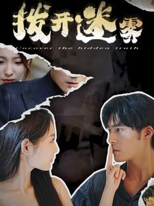 《拨开迷雾》海报