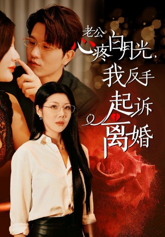 《老公疼白月光我反手起诉离婚》海报