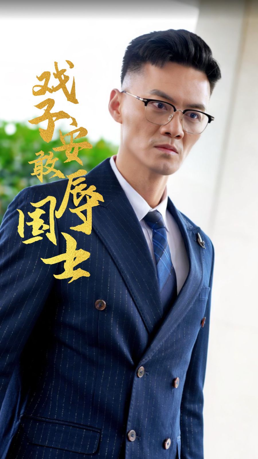 《戏子安敢辱国士》海报