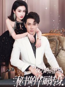 《权利的诱惑之秘书的华丽转身》海报