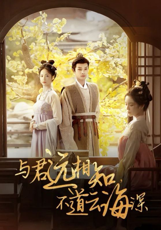 《与君远相知，不道云海深》海报