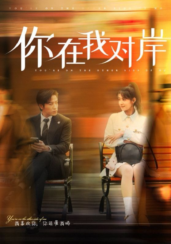 《你在我对岸》海报