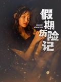 《假期历险记》海报