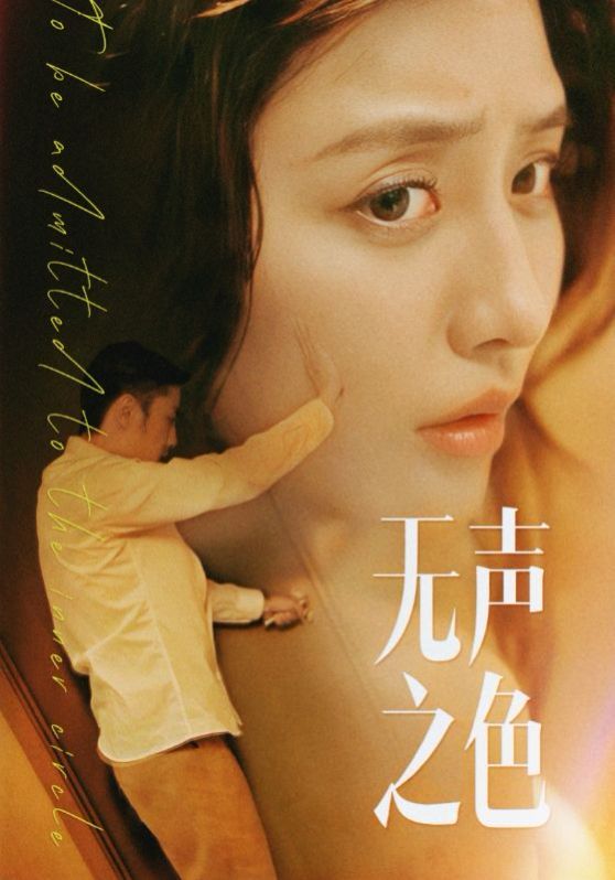 《无声之色》海报
