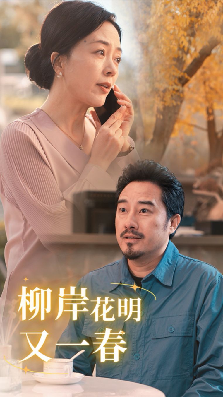 《柳暗花明又一春》海报