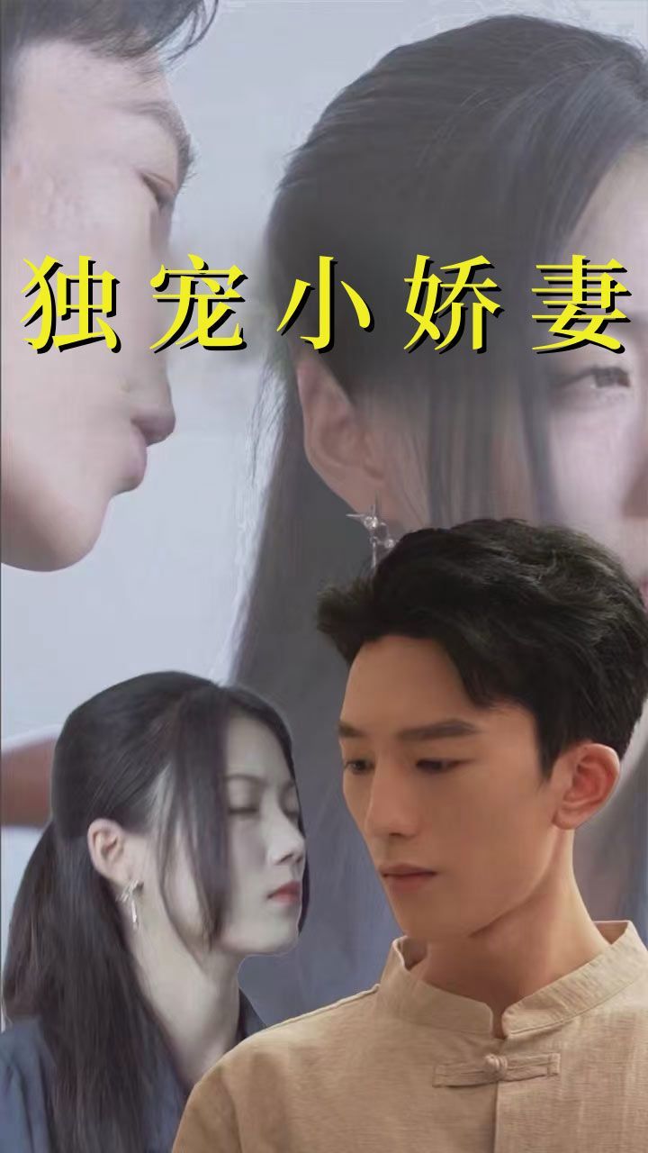《独宠小娇妻》海报